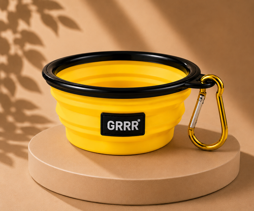 Collapsible Travel Pet Bowl
