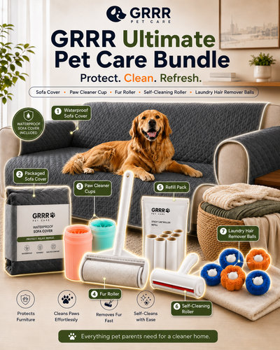 Fresh Home & Mess-Free Bundle