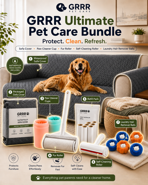 Fresh Home & Mess-Free Bundle