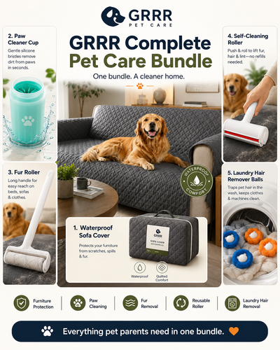 Fresh Home & Mess-Free Bundle