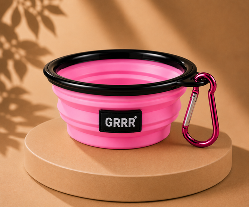Collapsible Travel Pet Bowl