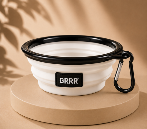 Collapsible Travel Pet Bowl