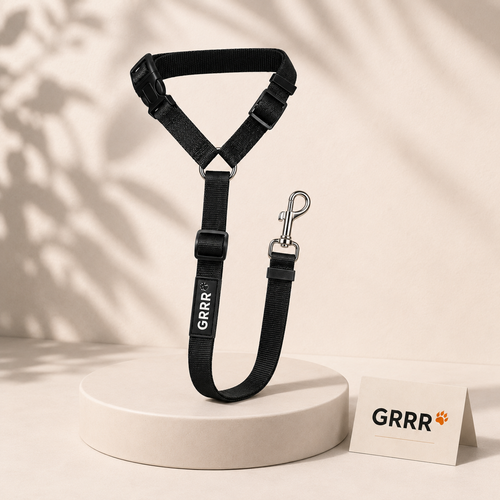Dog Car Safety Seat Belt