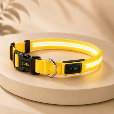 GRRR LED Light-Up Dog Collar