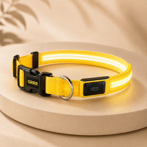 GRRR LED Light-Up Dog Collar