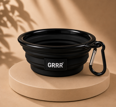 Collapsible Travel Pet Bowl