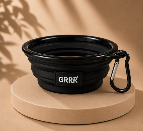 Collapsible Travel Pet Bowl