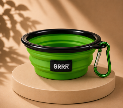 Collapsible Travel Pet Bowl