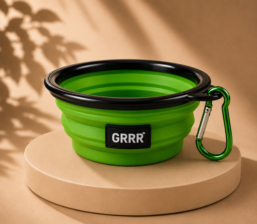 Collapsible Travel Pet Bowl