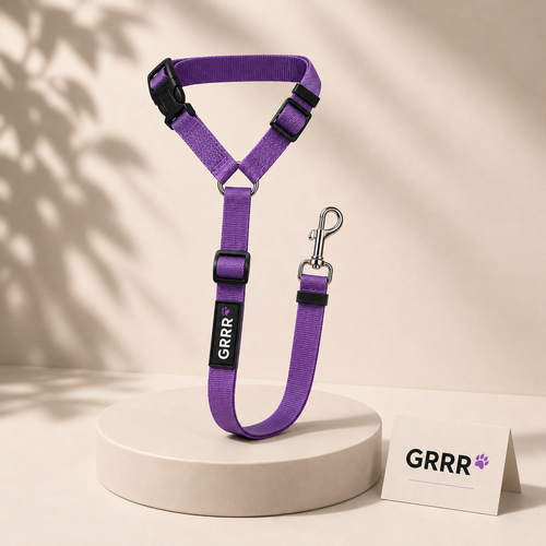 Dog Car Safety Seat Belt