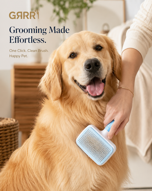 Professional Dog Slicker Brush