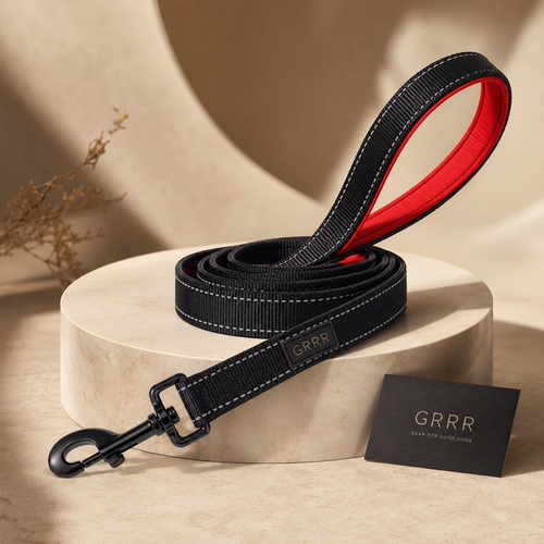GRRR Leash – Premium Dog Walking Leash