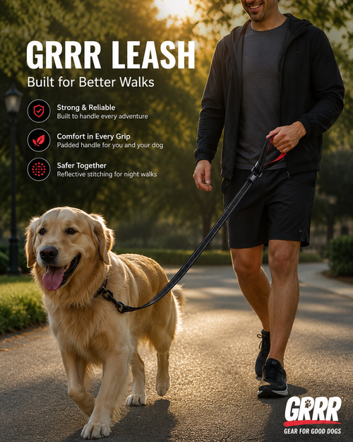 GRRR Leash – Premium Dog Walking Leash