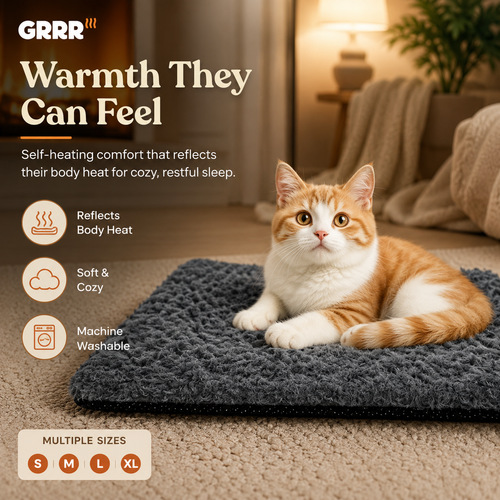 Cozy Comfort Bundle