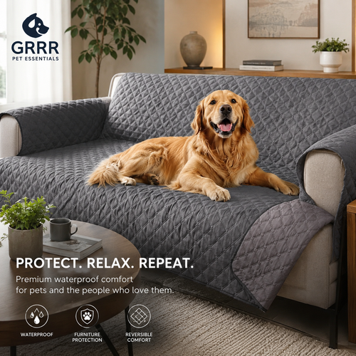 Fresh Home & Mess-Free Bundle