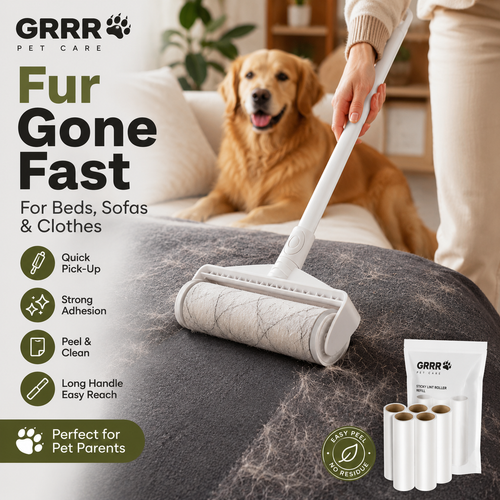 Fresh Home & Mess-Free Bundle