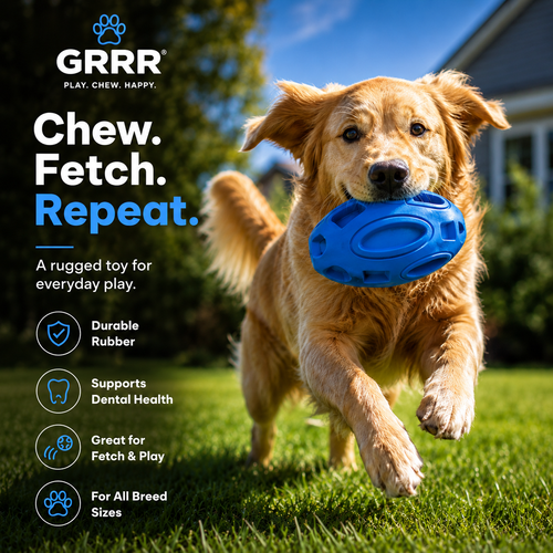 Durable Rubber Chew & Fetch Toy