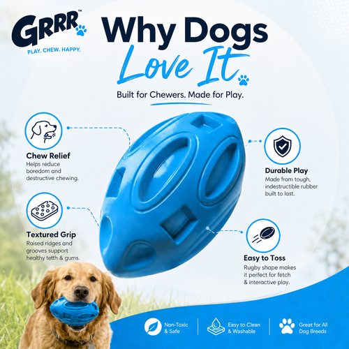 Durable Rubber Chew & Fetch Toy
