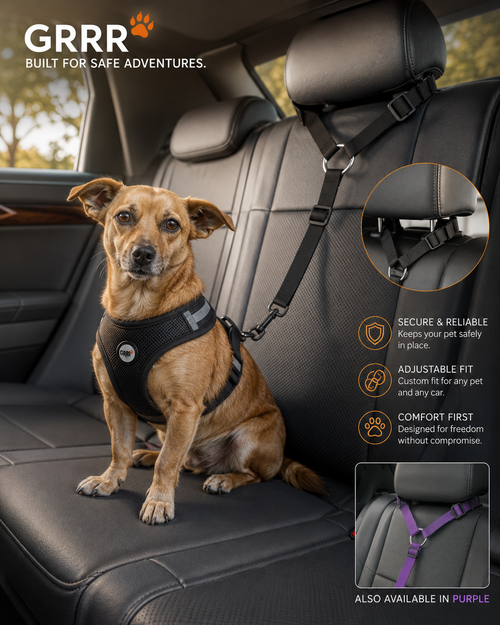 Dog Car Safety Seat Belt