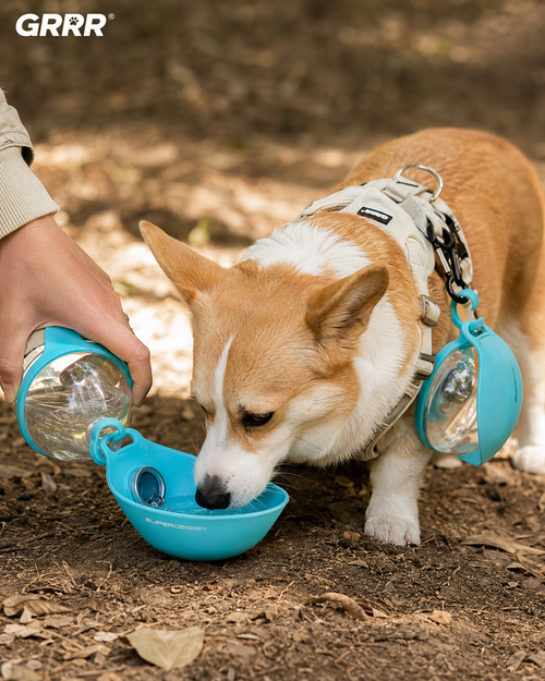 Portable Dog Water Bottle