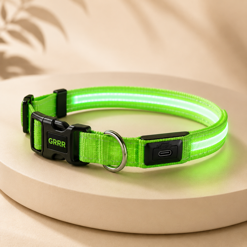 GRRR LED Light-Up Dog Collar