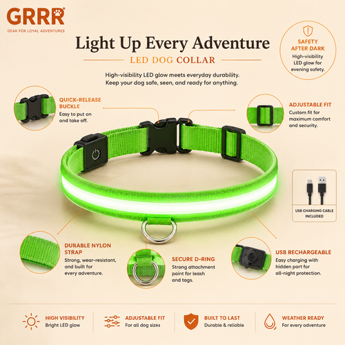 GRRR LED Light-Up Dog Collar