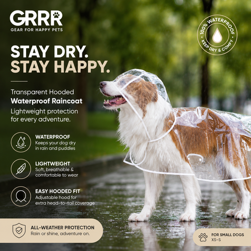 GRRR Transparent Dog Raincoat