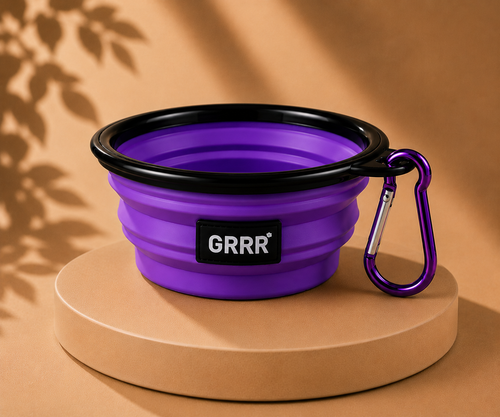 Collapsible Travel Pet Bowl