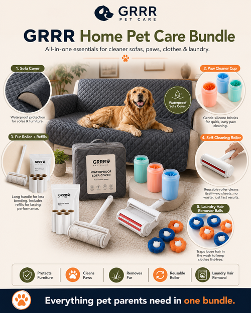 Fresh Home & Mess-Free Bundle