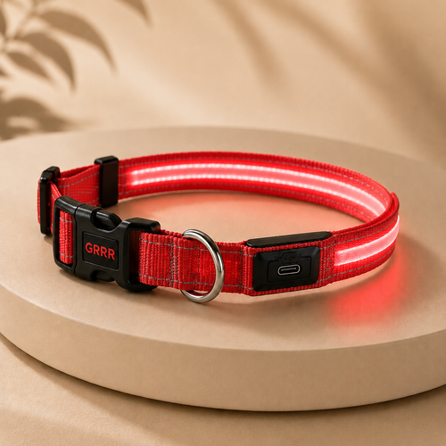 GRRR LED Light-Up Dog Collar