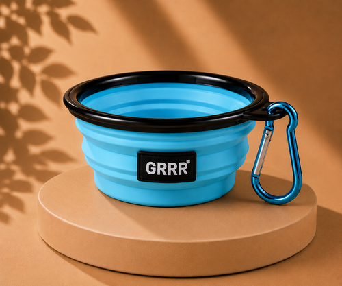 Collapsible Travel Pet Bowl