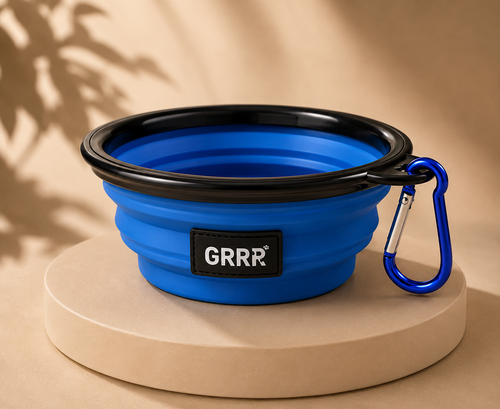 Collapsible Travel Pet Bowl