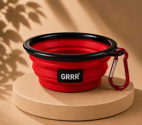 Collapsible Travel Pet Bowl